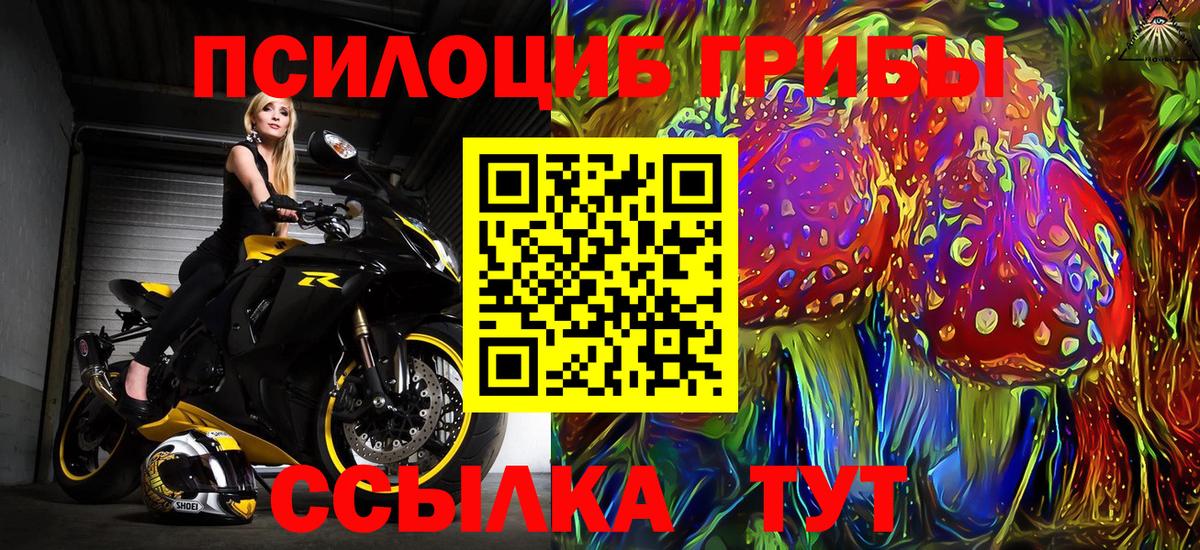 Топки  Псилоцибиновые грибы MAGIC MUSHROOMS  наркота  Вход с VPN  Псилоцибиновые грибы мухоморы 